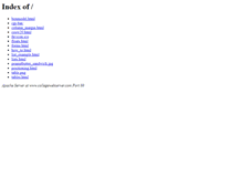 Tablet Screenshot of collegewebserver.com